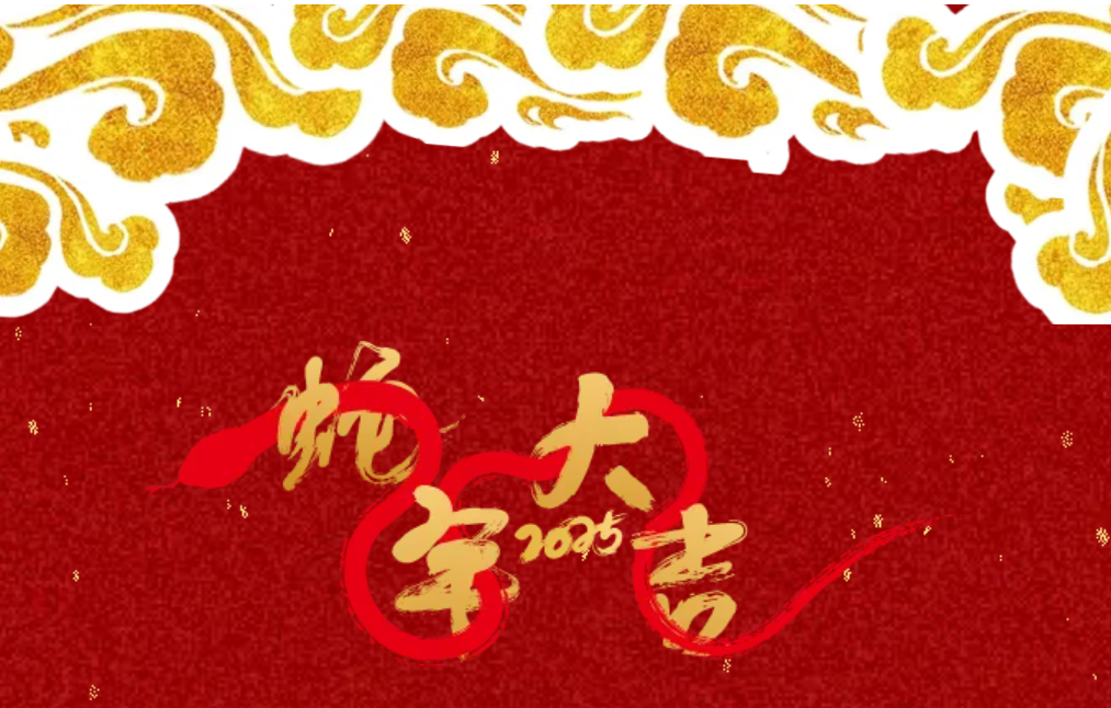 锐意突破 新征启程 | SG胜游2025年会盛典顺利召开